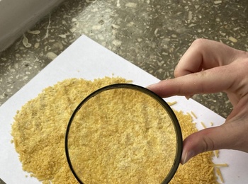 ДОСЛІДЖЕННЯ ФІЗИКО-ХІМІЧНИХ ПОКАЗНИКІВ ЯКОСТІ МАКАРОННИХ ВИРОБІВ: ПРАКТИЧНИЙ ДОСВІД СТУДЕНТІВ